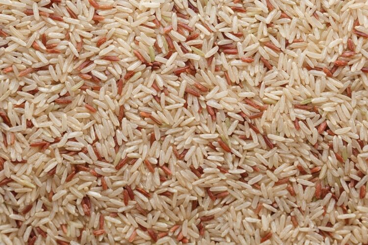 Brown or White Rice Which is Healthier Option for You