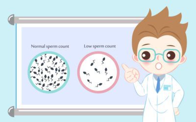 22 Best Home Remedies to Increase Sperm Count