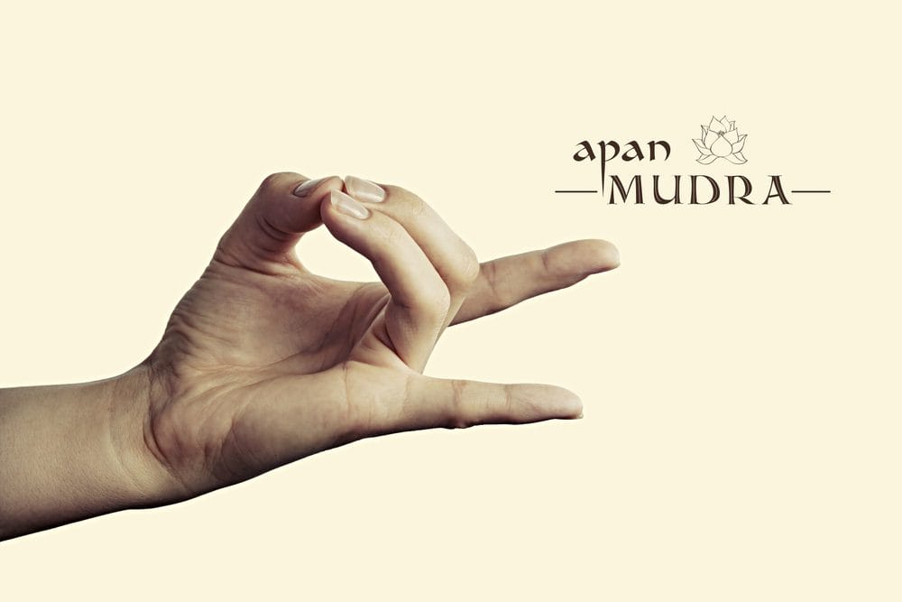Apan Mudra: Meaning, Benefits, Side Effects, How To Do and Precautions Apan Mudra: Meaning, Benefits, Side Effects, How To Do and Precautions